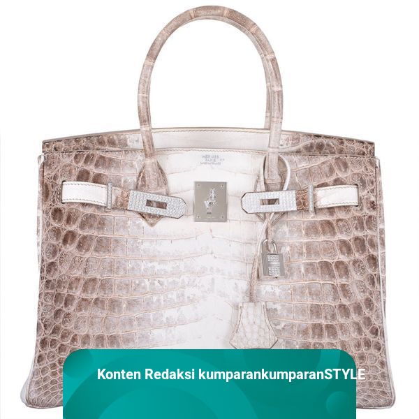 Harga hermes himalayan crocodile birkin cheap
